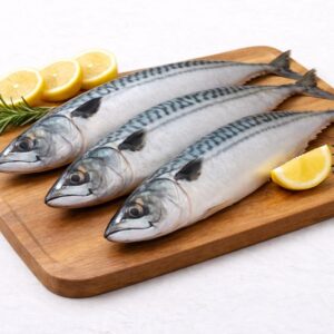 Mackerel