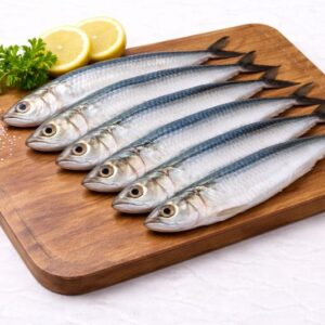 Sardine